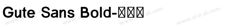 Gute Sans Bold字体转换